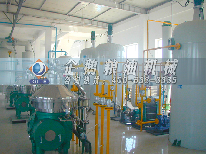 如何投資建設棕櫚油加工廠？企鵝糧油機械在線為您答疑解惑(圖2)