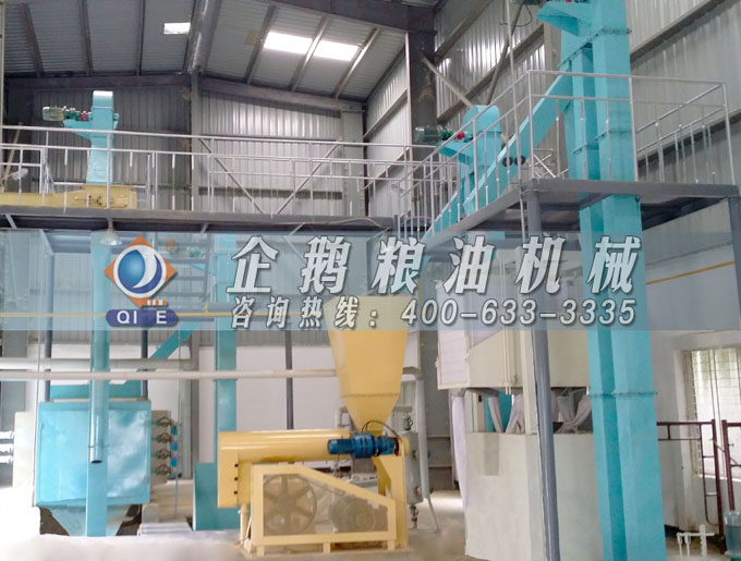 如何投資建設棕櫚油加工廠？企鵝糧油機械在線為您答疑解惑(圖4)