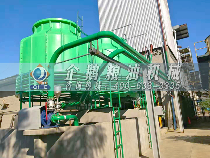 如何投資建設棕櫚油加工廠？企鵝糧油機械在線為您答疑解惑(圖3)