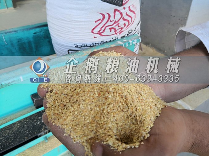 米糠油精煉設備，企鵝機械不斷創新提升工藝效果(圖2)